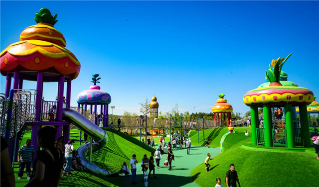 图片33.jpg 图片33.jpg